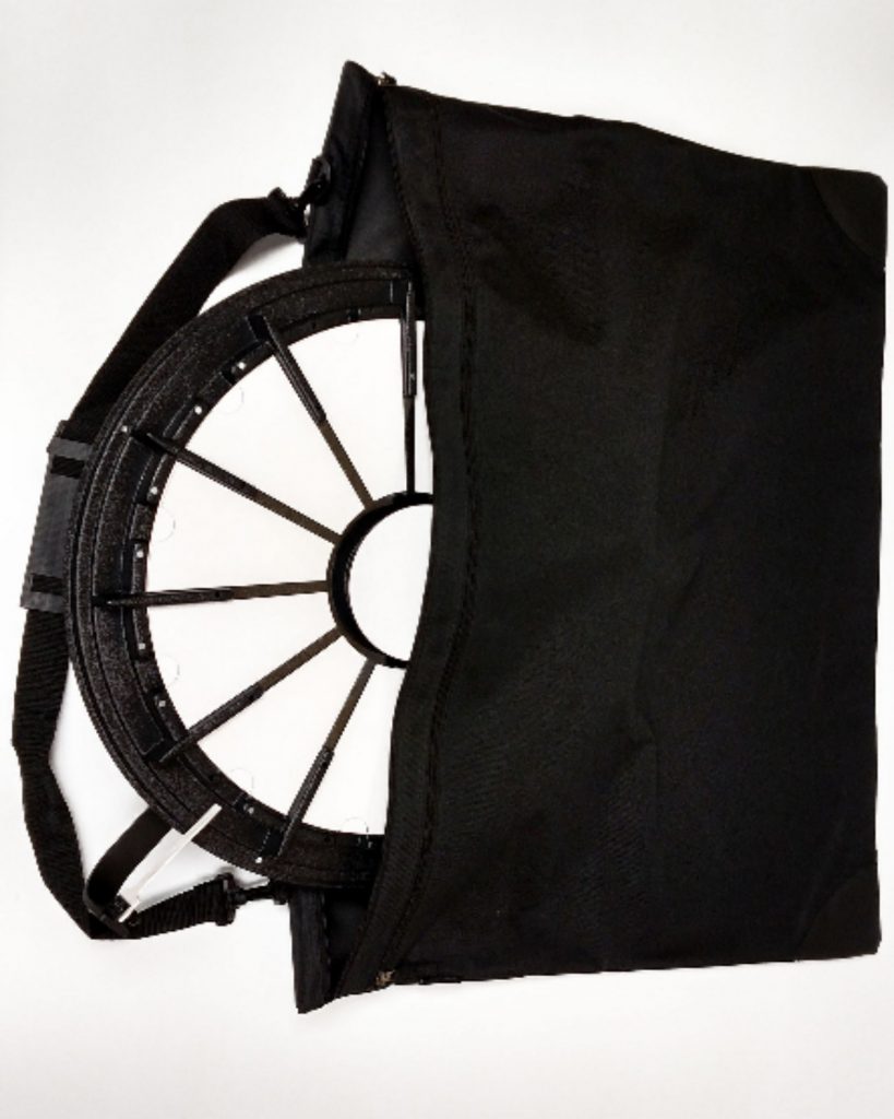 MINI Prize Wheel Travel Bag